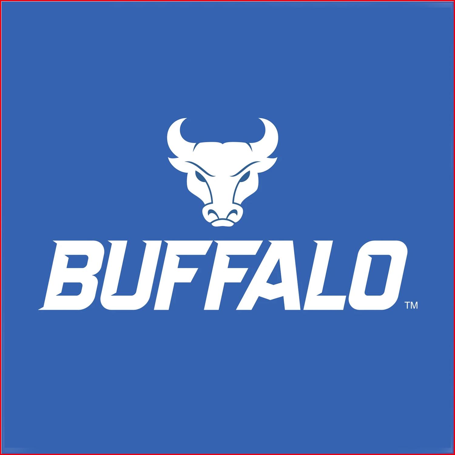 水牛城 Buffalo