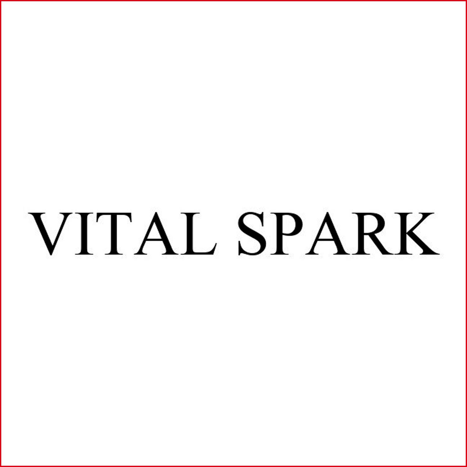 Vital Spark Vital Spark