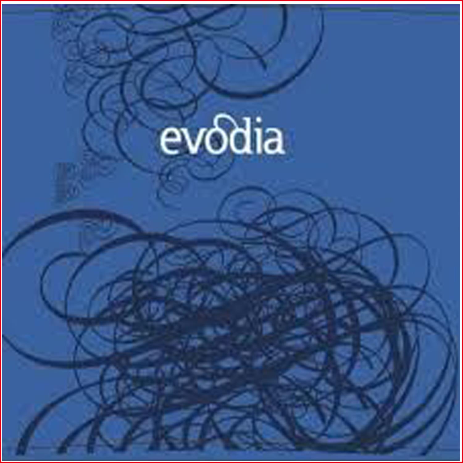 艾弗迪亞 Evodia