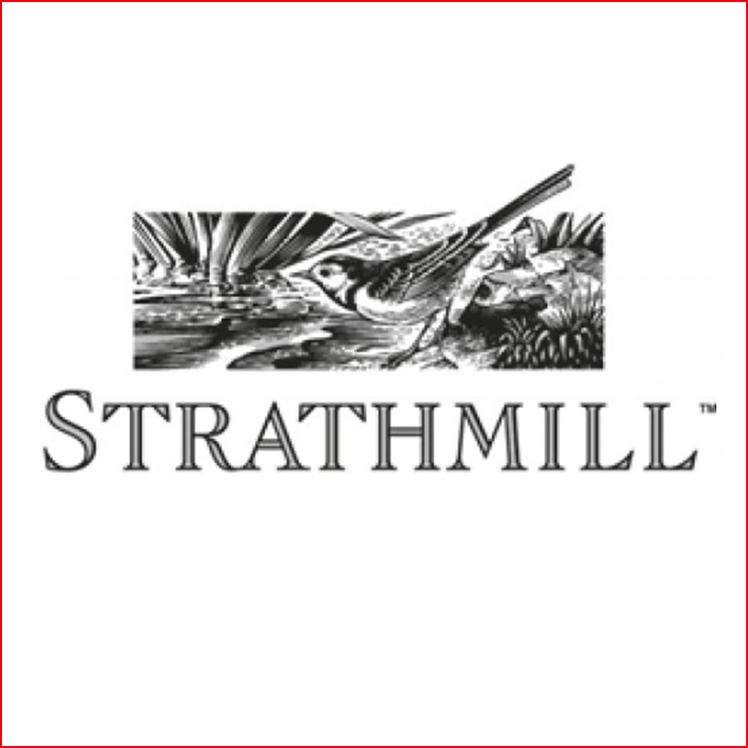 斯特拉斯米爾 Strathmill