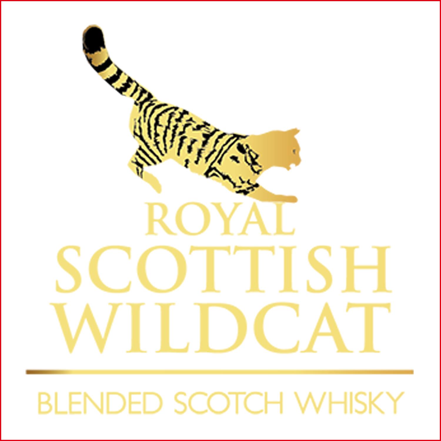 皇家雄貓 Royal Scottish Wildcat
