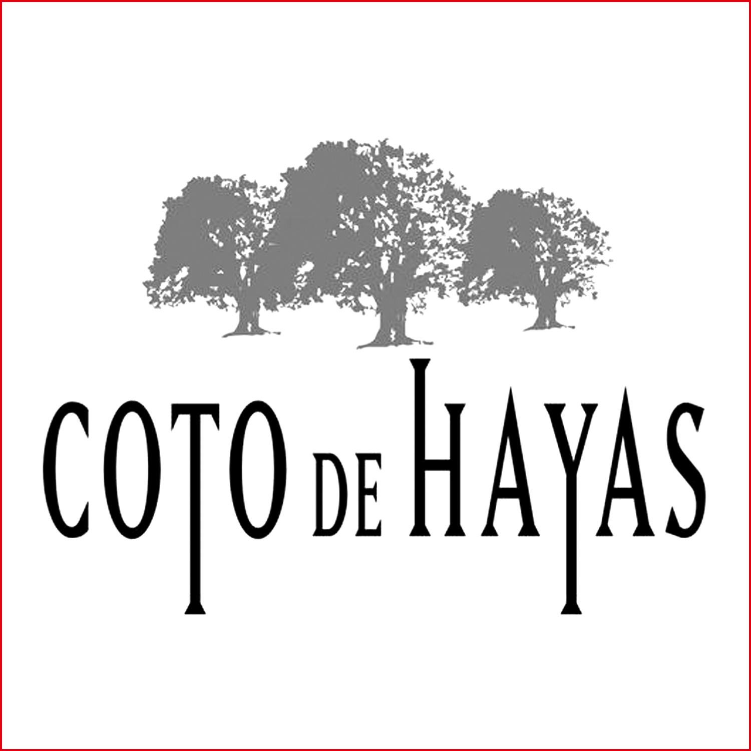 海亞斯 Coto Hayas
